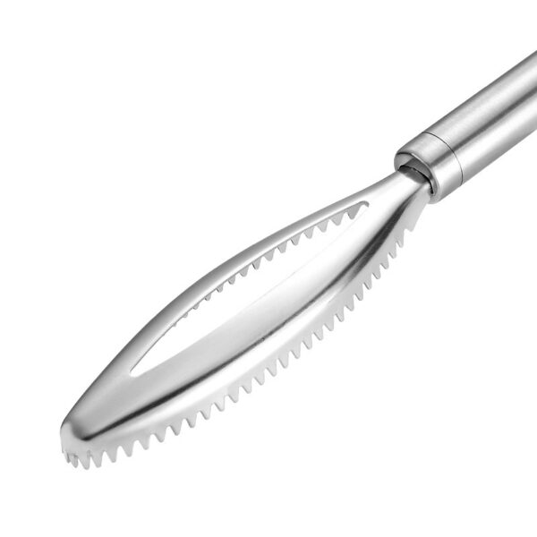 430 Stainless Steel Scale Removing Artifact Fish Killing Tool Kitchen Gadgets - Image 4